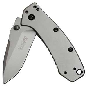 Kershaw Cryo Pocket Knife