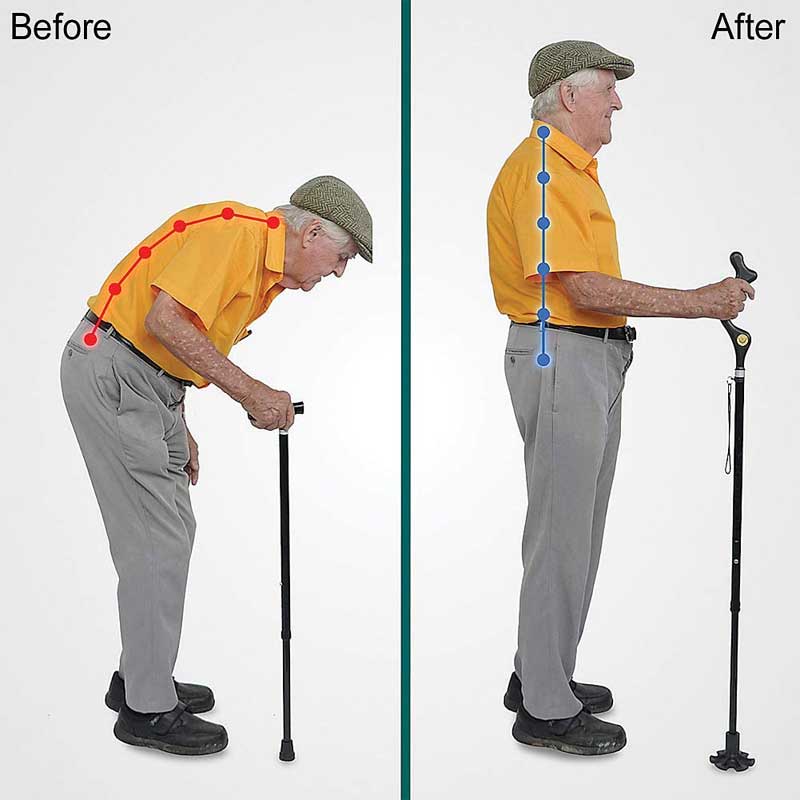 The Original Campbell Posture Cane