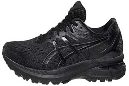 ASICS Gt-2000 9 shoe