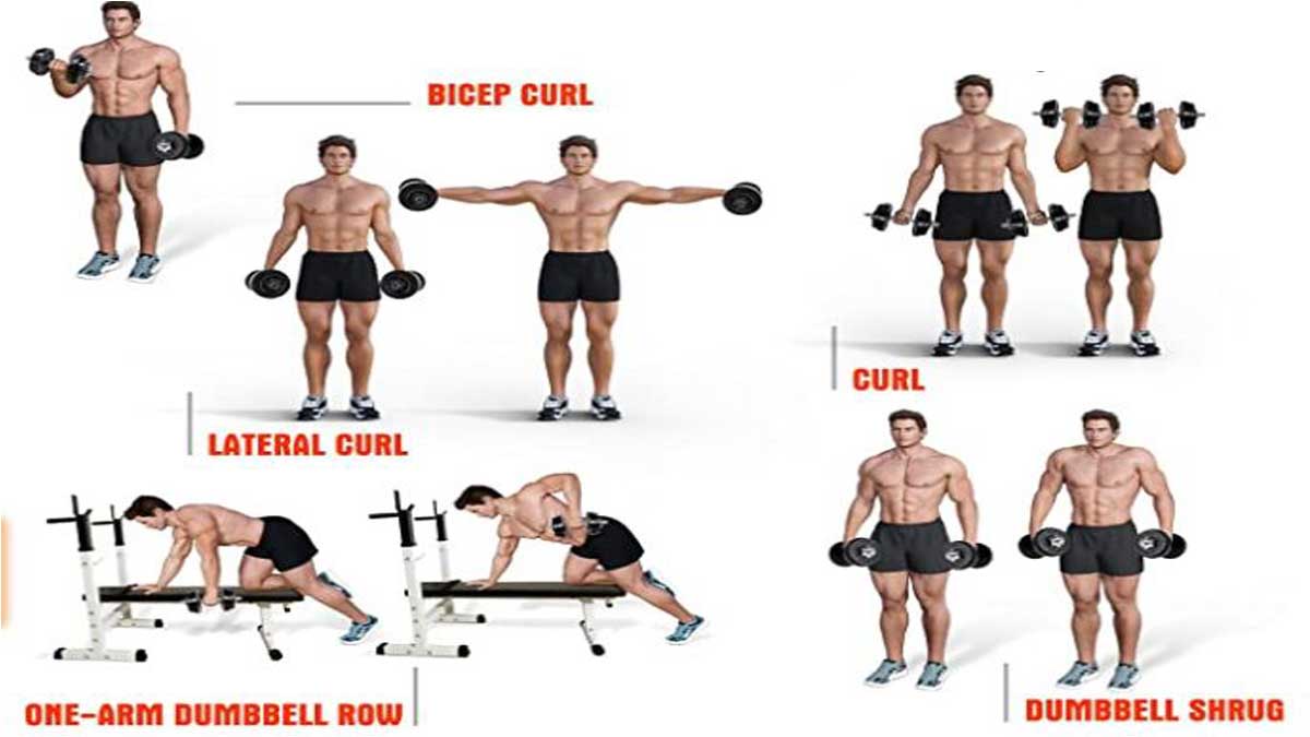 How to Set Up a Home Gym? (2024) 24 Adjustable dumbbells