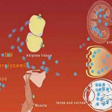 What Causes the Microvascular Complications in Patients with Diabetes Mellitus?