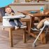 Best Portable High Chair For Baby To Take With You On Vacation in 2021