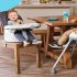 Best Portable High Chair For Baby To Take With You On Vacation in 2024